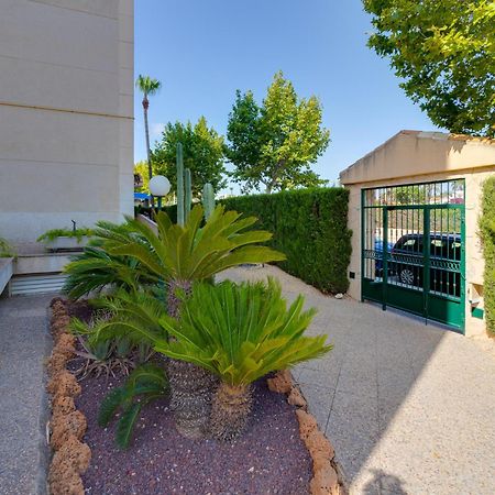 Apartamentos Oasis Альбир Экстерьер фото