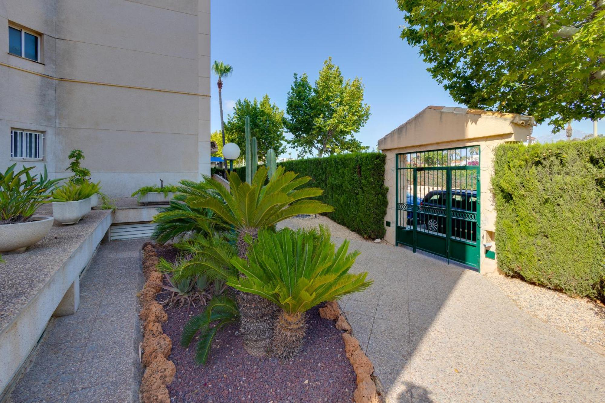 Apartamentos Oasis Альбир Экстерьер фото