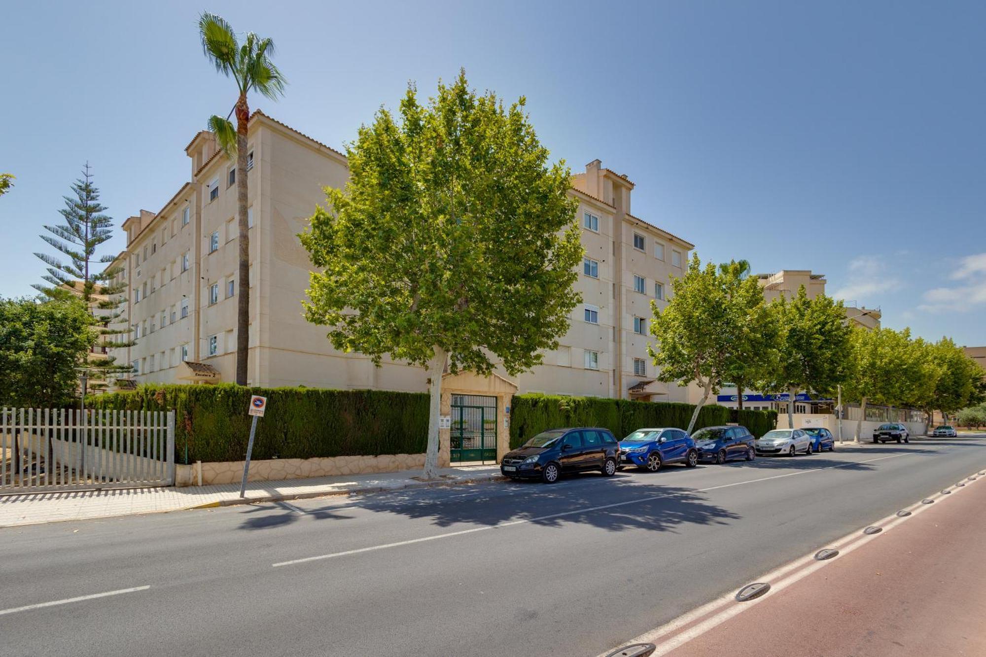 Apartamentos Oasis Альбир Экстерьер фото