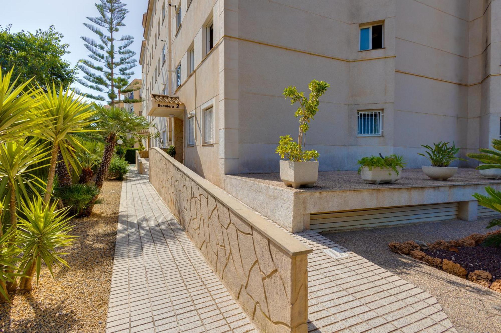 Apartamentos Oasis Альбир Экстерьер фото