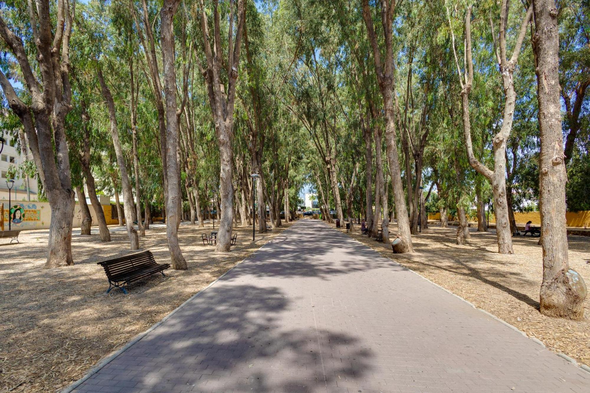 Apartamentos Oasis Альбир Экстерьер фото